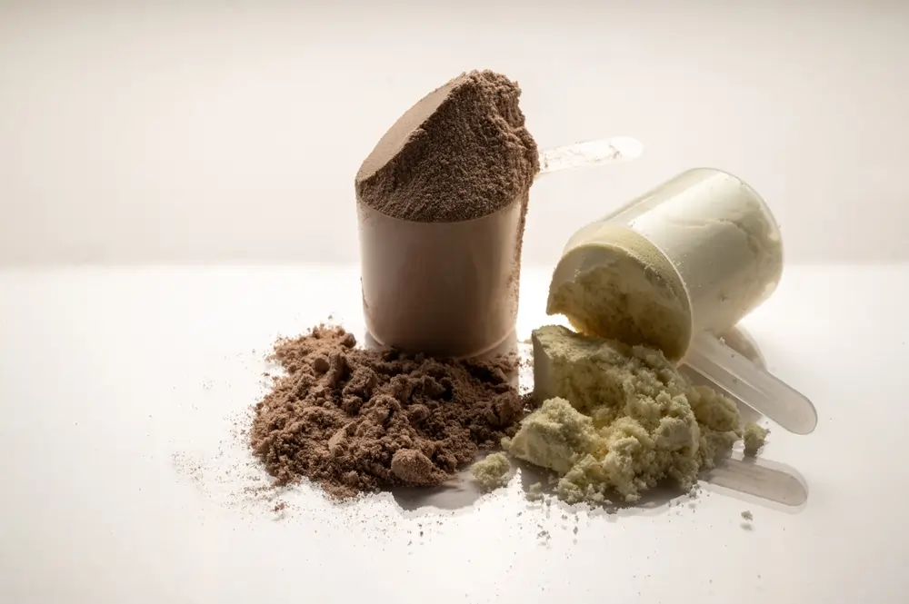 vegan protein powder